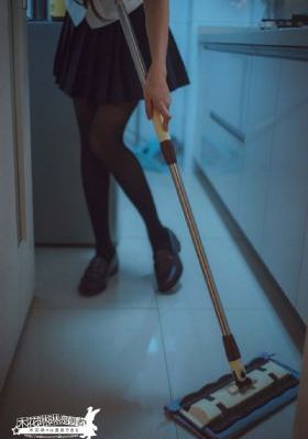 口袋征服電腦版