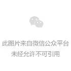 海豚wii模擬器官網(wǎng)